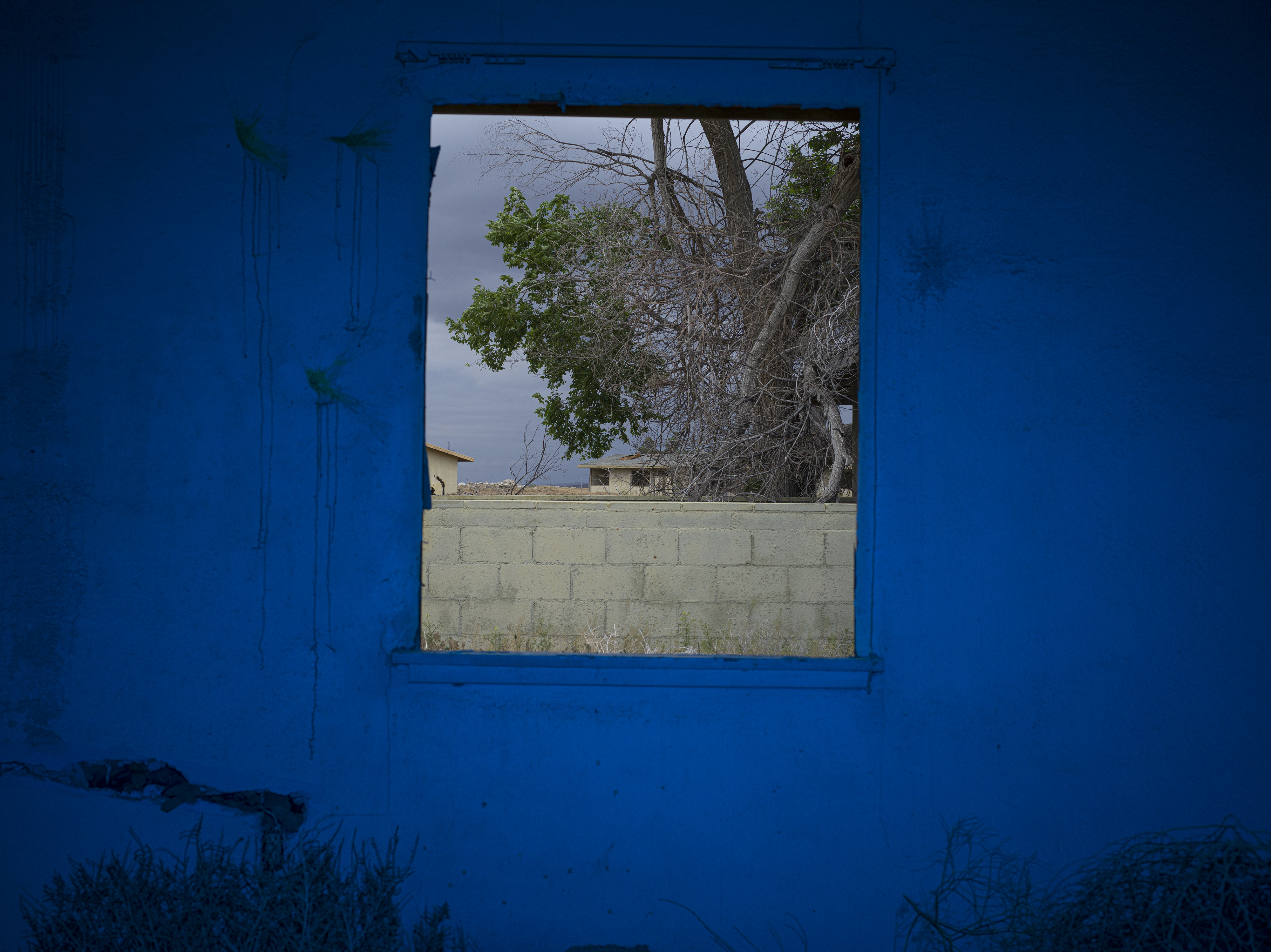 B0003995